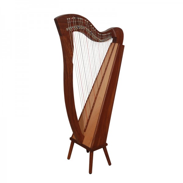 27 String Harp
